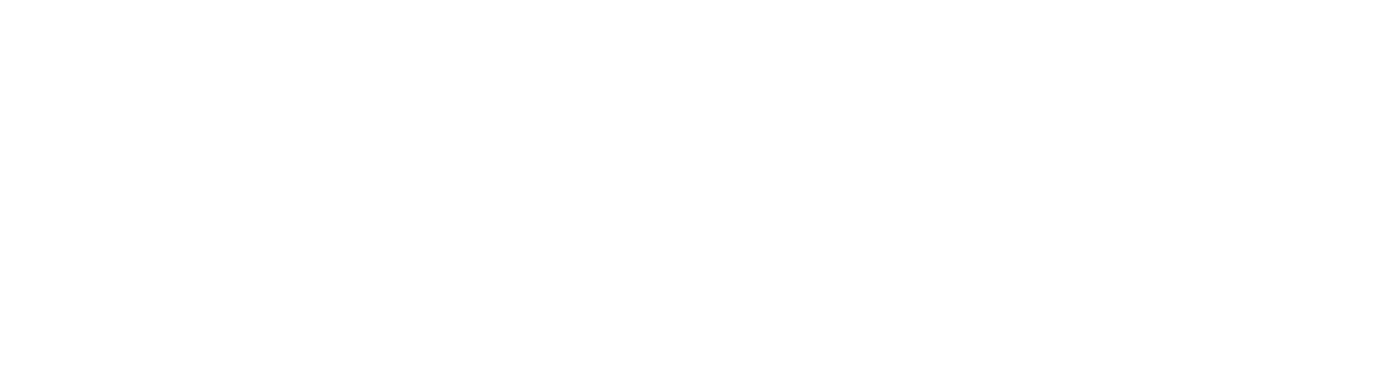 Logo Palindo